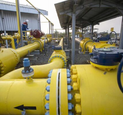 Gas untuk Negeri, Memperkuat Listrik dan Daya Saing Industri